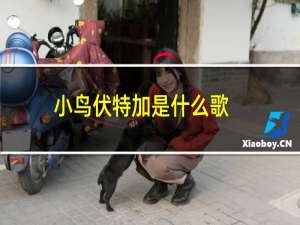 小鸟伏特加是什么歌