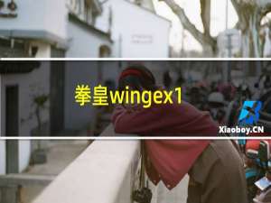 拳皇wingex1.1