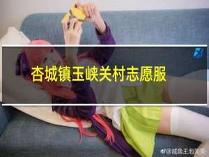 杏城镇玉峡关村志愿服务队(关于杏城镇玉峡关村志愿服务队的简介)