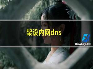 架设内网dns