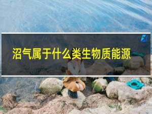 沼气属于什么类生物质能源