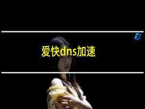 爱快dns加速