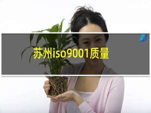 苏州iso9001质量体系认证