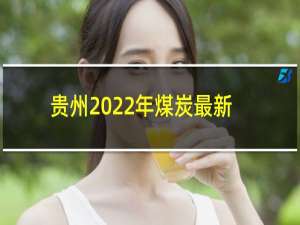 贵州2022年煤炭最新消息