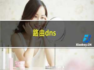 路由dns