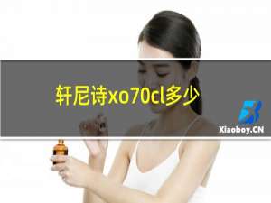 轩尼诗xo70cl多少升