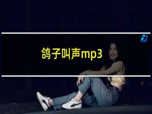 鸽子叫声mp3