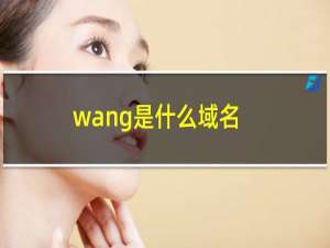 .wang是什么域名