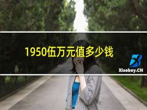 1950伍万元值多少钱