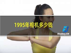 1995年相机多少钱