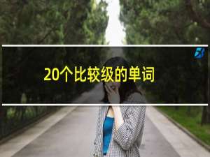 20个比较级的单词