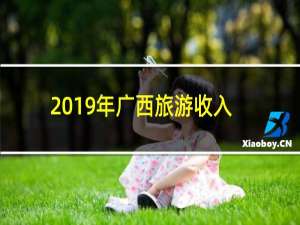 2019年广西旅游收入