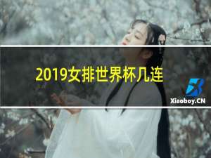 2019女排世界杯几连胜