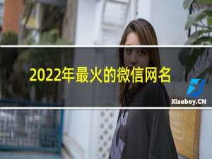 2022年最火的微信网名