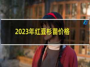2023年红豆杉苗价格