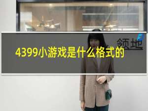 4399小游戏是什么格式的