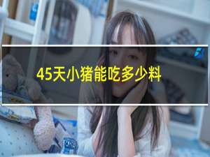 45天小猪能吃多少料