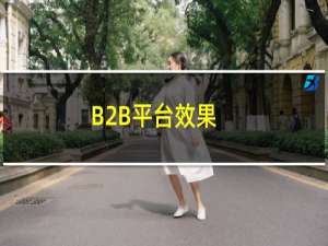 B2B平台效果