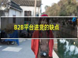 B2B平台进货的缺点