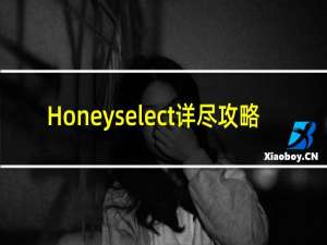 Honeyselect详尽攻略