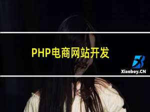 PHP电商网站开发