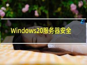 Windows 服务器安全