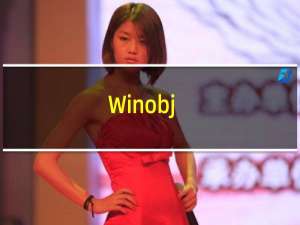 【Winobj】免费Winobj软件下载