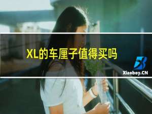 XL的车厘子值得买吗