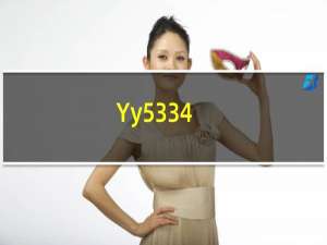 Yy5334（yy5 3）