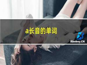 a长音的单词