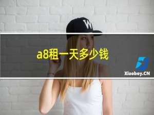 a8租一天多少钱