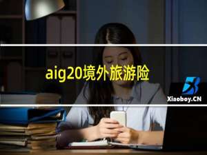 aig 境外旅游险