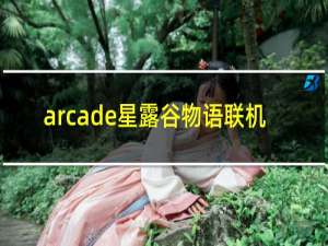 arcade星露谷物语联机