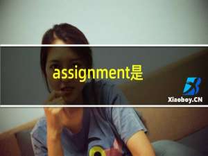 assignment是什么意思英语