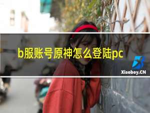 b服账号原神怎么登陆pc