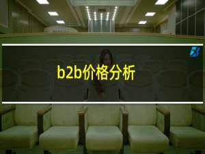 b2b价格分析