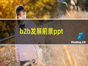 b2b发展前景ppt