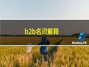 b2b名词解释