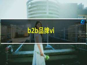 b2b品牌vi