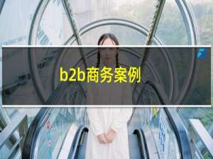 b2b商务案例