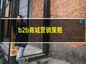b2b商城营销策略