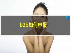 b2b如何申报