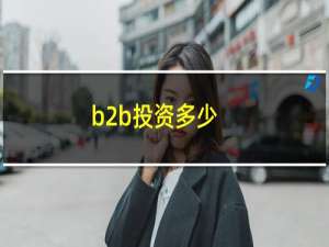 b2b投资多少