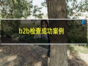 b2b检查成功案例