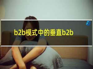b2b模式中的垂直b2b