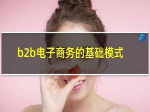 b2b电子商务的基础模式