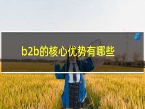 b2b的核心优势有哪些