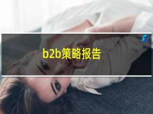 b2b策略报告