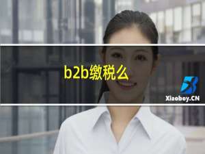 b2b缴税么