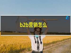 b2b营销怎么